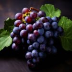 Купить сорт винограда мальбек москва питер